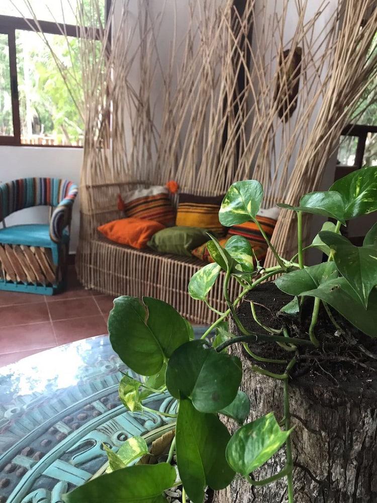 Ecovergel Riviera Maya Hotel Boutique Chemuyil Esterno foto